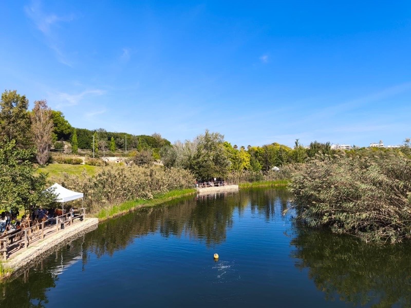 Picnic at the park — Alicante
