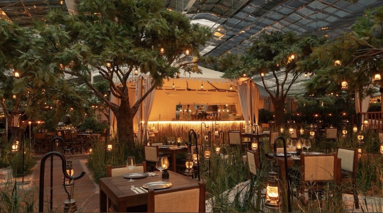Dinner @ Voltereta Tanzania — Alicante