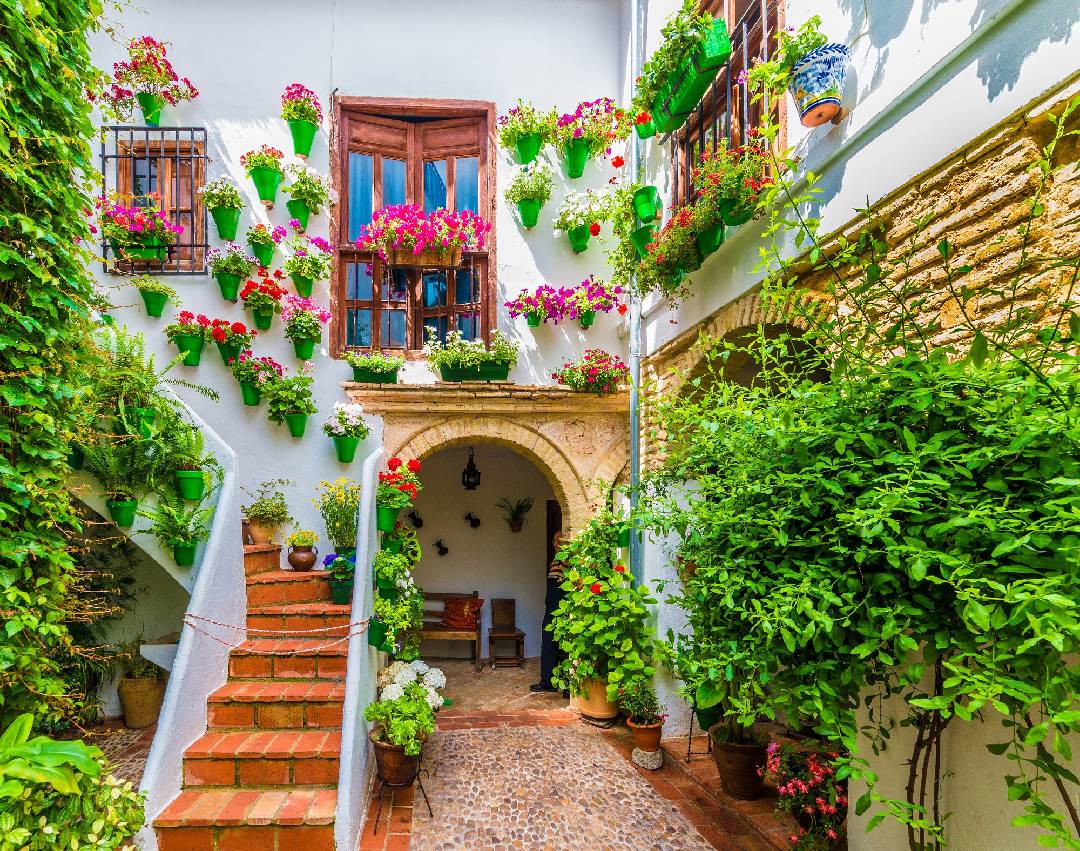 Cordoba's patios trip — Córdoba