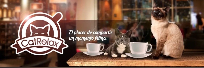 Coffee โ๏ธ ๐โโฌ โ Alicante