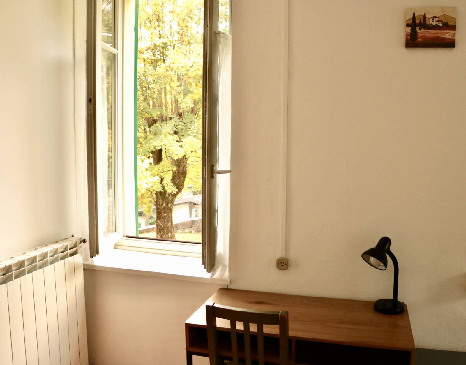 Montino photo 8