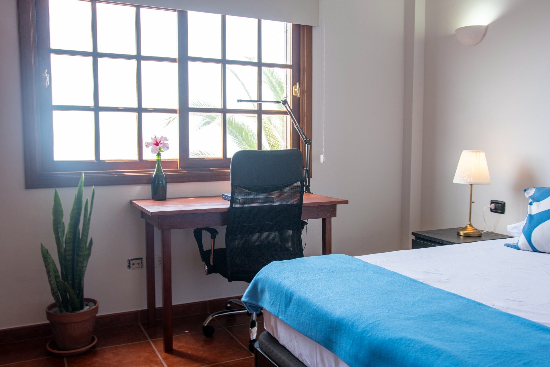 Bencomo Coliving coliving photo 8 in Santa Úrsula, Spain